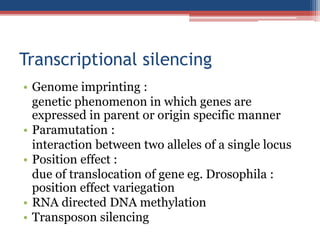 Transcriptional silencing
• Genome imprinting :
genetic phenomenon in which genes are
expressed in parent or origin specific manner
• Paramutation :
interaction between two alleles of a single locus
• Position effect :
due of translocation of gene eg. Drosophila :
position effect variegation
• RNA directed DNA methylation
• Transposon silencing
 
