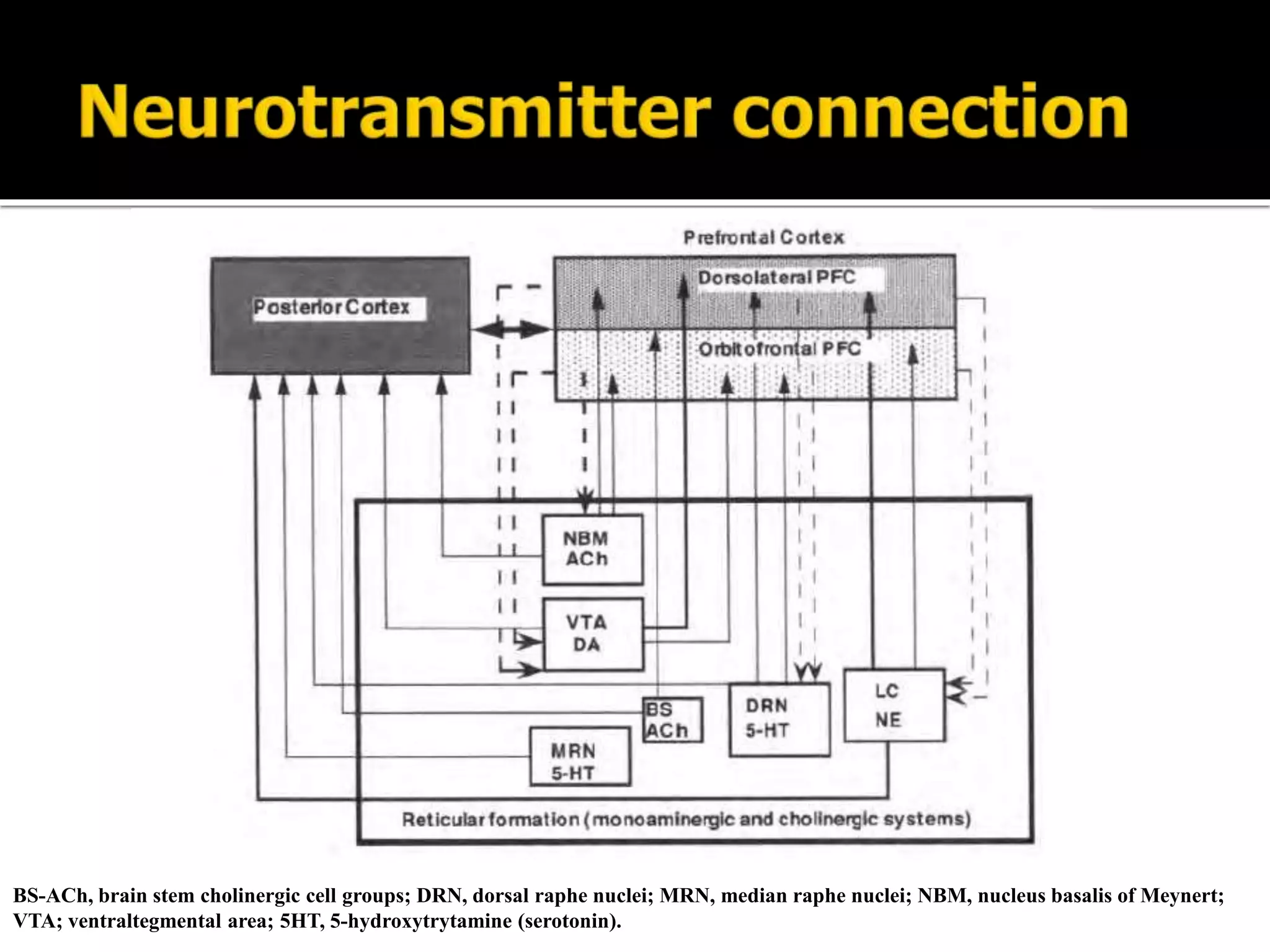 BS-ACh, brain stem cholinergic cell groups; DRN, dorsal raphe nuclei; MRN, median raphe nuclei; NBM, nucleus basalis of Meynert;
VTA; ventraltegmental area; 5HT, 5-hydroxytrytamine (serotonin).
 