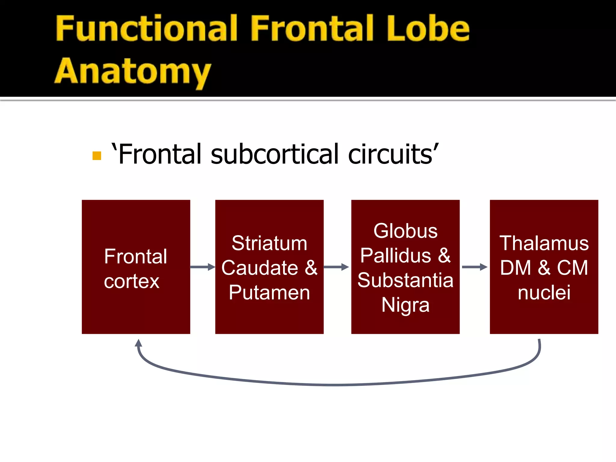  ‘Frontal subcortical circuits’
Thalamus
DM & CM
nuclei
Frontal
cortex
Striatum
Caudate &
Putamen
Globus
Pallidus &
Substantia
Nigra
 