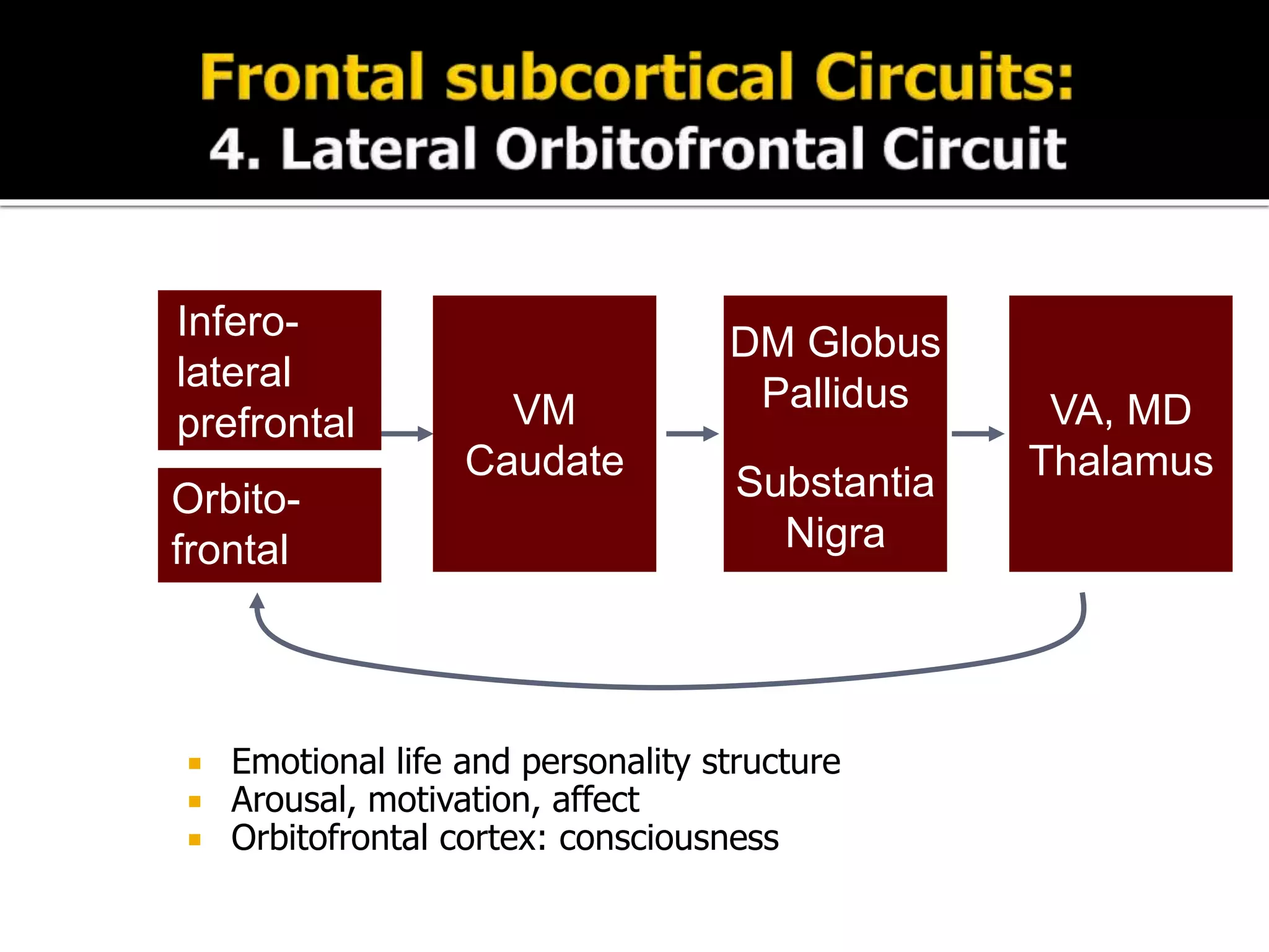  Emotional life and personality structure
 Arousal, motivation, affect
 Orbitofrontal cortex: consciousness
VM
Caudate
DM Globus
Pallidus
Substantia
Nigra
VA, MD
Thalamus
Infero-
lateral
prefrontal
Orbito-
frontal
 