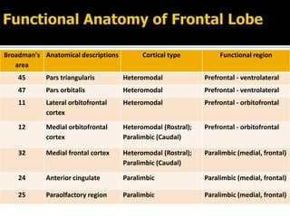 Broadman's
area
Anatomical descriptions Cortical type Functional region
45 Pars triangularis Heteromodal Prefrontal - ventrolateral
47 Pars orbitalis Heteromodal Prefrontal - ventrolateral
11 Lateral orbitofrontal
cortex
Heteromodal Prefrontal - orbitofrontal
12 Medial orbitofrontal
cortex
Heteromodal (Rostral);
Paralimbic (Caudal)
Prefrontal - orbitofrontal
32 Medial frontal cortex Heteromodal (Rostral);
Paralimbic (Caudal)
Paralimbic (medial, frontal)
24 Anterior cingulate Paralimbic Paralimbic (medial, frontal)
25 Paraolfactory region Paralimbic Paralimbic (medial, frontal)
 