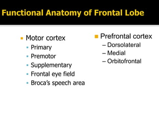  Motor cortex
 Primary
 Premotor
 Supplementary
 Frontal eye field
 Broca’s speech area
 Prefrontal cortex
– Dorsolateral
– Medial
– Orbitofrontal
 