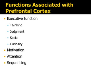  Executive function
 Thinking
 Judgment
 Social
 Curiosity
 Motivation
 Attention
 Sequencing
 