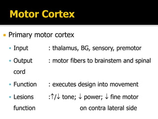  Primary motor cortex
 Input : thalamus, BG, sensory, premotor
 Output : motor fibers to brainstem and spinal
cord
 Function : executes design into movement
 Lesions :/ tone;  power;  fine motor
function on contra lateral side
 