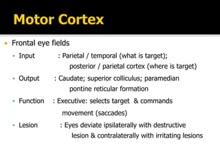  Frontal eye fields
 Input : Parietal / temporal (what is target);
posterior / parietal cortex (where is target)
 Output : Caudate; superior colliculus; paramedian
pontine reticular formation
 Function : Executive: selects target & commands
movement (saccades)
 Lesion : Eyes deviate ipsilaterally with destructive
lesion & contralaterally with irritating lesions
 