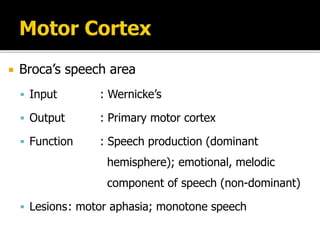  Broca’s speech area
 Input : Wernicke’s
 Output : Primary motor cortex
 Function : Speech production (dominant
hemisphere); emotional, melodic
component of speech (non-dominant)
 Lesions: motor aphasia; monotone speech
 