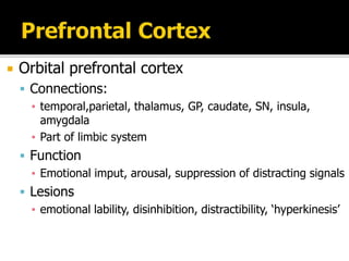  Orbital prefrontal cortex
 Connections:
▪ temporal,parietal, thalamus, GP, caudate, SN, insula,
amygdala
▪ Part of limbic system
 Function
▪ Emotional imput, arousal, suppression of distracting signals
 Lesions
▪ emotional lability, disinhibition, distractibility, ‘hyperkinesis’
 