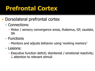  Dorsolateral prefrontal cortex
 Connections:
▪ Motor / sensory convergence areas, thalamus, GP, caudate,
SN
 Functions
▪ Monitors and adjusts behavior using ‘working memory’
 Lesions:
▪ Executive function deficit; disinterest / emotional reactivity;
 attention to relevant stimuli
 
