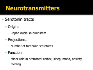  Serotonin tracts
 Origin:
▪ Raphe nuclei in brainstem
 Projections:
▪ Number of forebrain structures
 Function
▪ Minor role in prefrontal cortex; sleep, mood, anxiety,
feeding
 