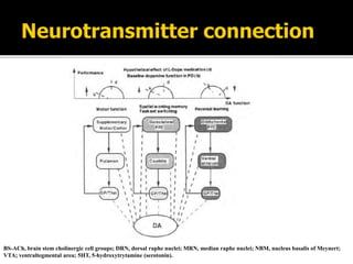 BS-ACh, brain stem cholinergic cell groups; DRN, dorsal raphe nuclei; MRN, median raphe nuclei; NBM, nucleus basalis of Meynert;
VTA; ventraltegmental area; 5HT, 5-hydroxytrytamine (serotonin).
 