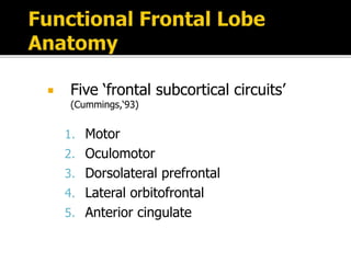  Five ‘frontal subcortical circuits’
(Cummings,‘93)
1. Motor
2. Oculomotor
3. Dorsolateral prefrontal
4. Lateral orbitofrontal
5. Anterior cingulate
 