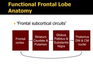  ‘Frontal subcortical circuits’
Thalamus
DM & CM
nuclei
Frontal
cortex
Striatum
Caudate &
Putamen
Globus
Pallidus &
Substantia
Nigra
 