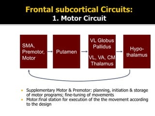  Supplementary Motor & Premotor: planning, initiation & storage
of motor programs; fine-tuning of movements
 Motor:final station for execution of the the movement according
to the design
SMA,
Premotor,
Motor
Putamen
VL Globus
Pallidus
VL, VA, CM
Thalamus
Hypo-
thalamus
 