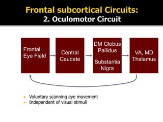  Voluntary scanning eye movement
 Independent of visual stimuli
Frontal
Eye Field
Central
Caudate
DM Globus
Pallidus
Substantia
Nigra
VA, MD
Thalamus
 