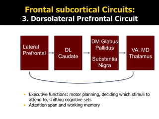  Executive functions: motor planning, deciding which stimuli to
attend to, shifting cognitive sets
 Attention span and working memory
Lateral
Prefrontal
DL
Caudate
DM Globus
Pallidus
Substantia
Nigra
VA, MD
Thalamus
 