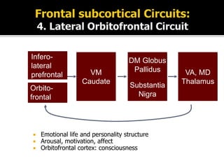  Emotional life and personality structure
 Arousal, motivation, affect
 Orbitofrontal cortex: consciousness
VM
Caudate
DM Globus
Pallidus
Substantia
Nigra
VA, MD
Thalamus
Infero-
lateral
prefrontal
Orbito-
frontal
 
