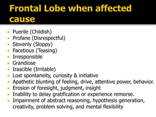  Puerile (Childish)
 Profane (Disrespectful)
 Slovenly (Sloppy)
 Facetious (Teasing)
 Irresponsible
 Grandiose
 Irascible (Irritable)
 Lost spontaneity, curiosity & initiative
 Apathetic blunting of feeling, drive, attentive power, behavior.
 Erosion of foresight, judgment, insight
 Inability to delay gratification or experience remorse.
 Impairment of abstract reasoning, hypothesis generation,
creativity, problem solving, and mental flexibility
 