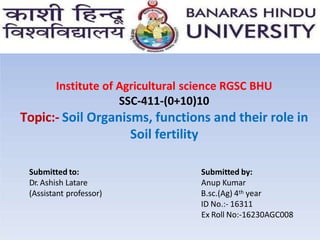 Institute of Agricultural science RGSC BHU
SSC-411-(0+10)10
Topic:- Soil Organisms, functions and their role in
Soil fertility
Submitted to:
Dr. Ashish Latare
(Assistant professor)
Submitted by:
Anup Kumar
B.sc.(Ag) 4th year
ID No.:- 16311
Ex Roll No:-16230AGC008
 
