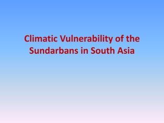 Climatic Vulnerability of the
Sundarbans in South Asia

 