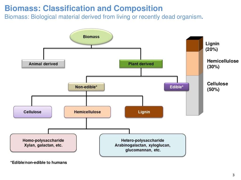 Conversion of sugars to sugar alcohols
