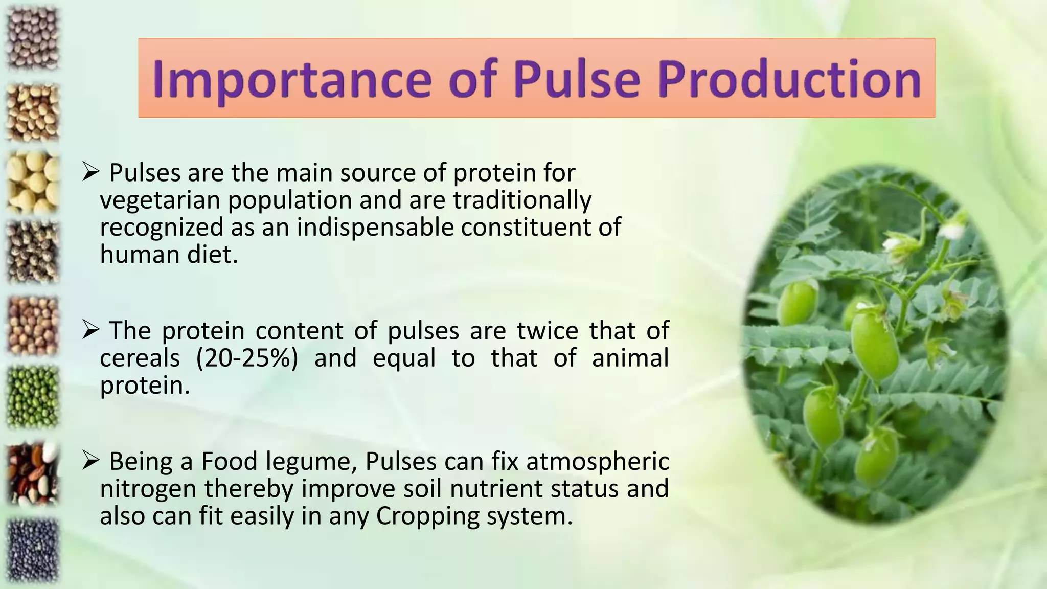  Pulses are the main source of protein for
vegetarian population and are traditionally
recognized as an indispensable constituent of
human diet.
 The protein content of pulses are twice that of
cereals (20-25%) and equal to that of animal
protein.
 Being a Food legume, Pulses can fix atmospheric
nitrogen thereby improve soil nutrient status and
also can fit easily in any Cropping system.
 