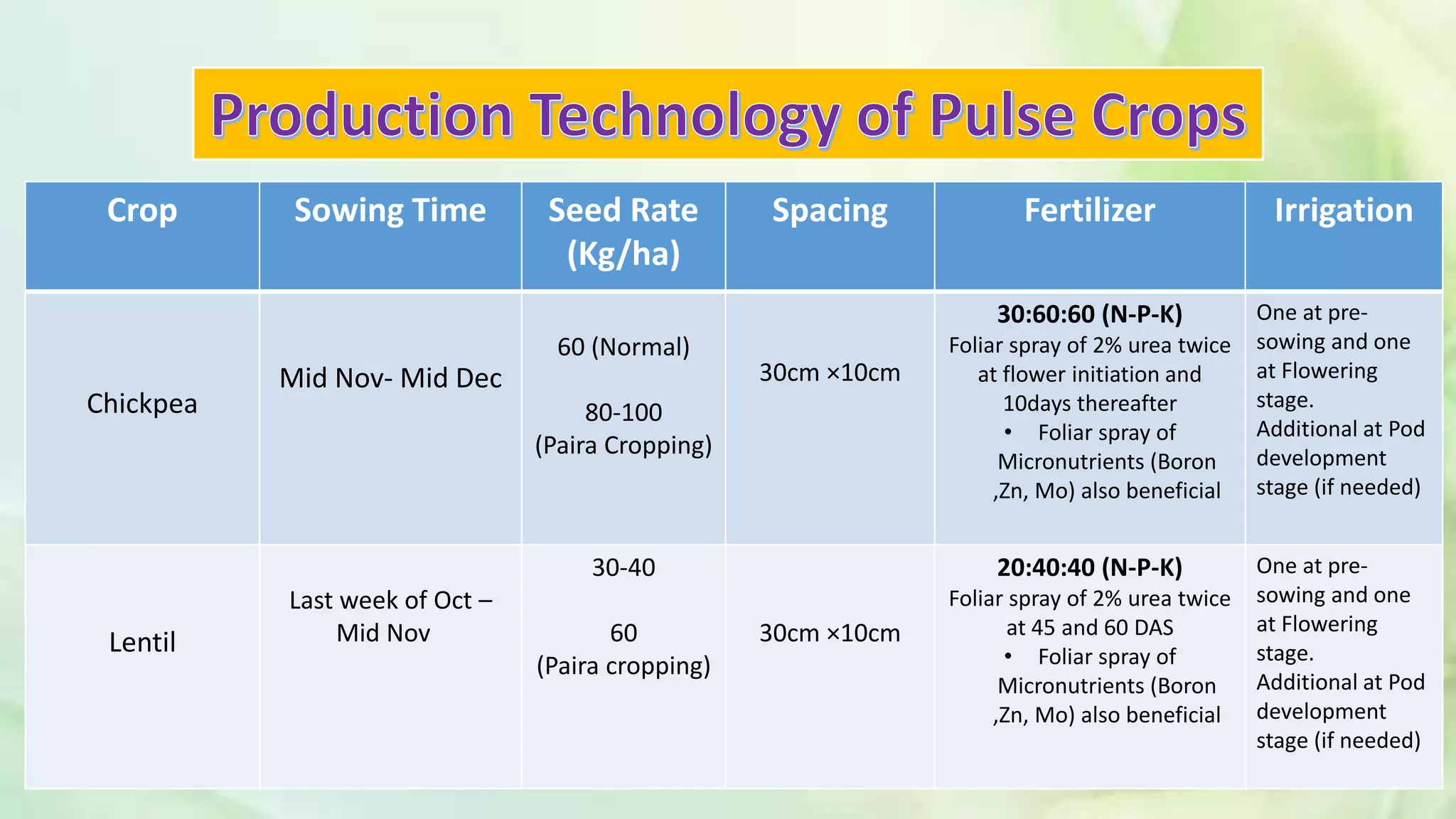 Crop Sowing Time Seed Rate
(Kg/ha)
Spacing Fertilizer Irrigation
Chickpea
Mid Nov- Mid Dec
60 (Normal)
80-100
(Paira Cropping)
30cm ×10cm
30:60:60 (N-P-K)
Foliar spray of 2% urea twice
at flower initiation and
10days thereafter
• Foliar spray of
Micronutrients (Boron
,Zn, Mo) also beneficial
One at pre-
sowing and one
at Flowering
stage.
Additional at Pod
development
stage (if needed)
Lentil
Last week of Oct –
Mid Nov
30-40
60
(Paira cropping)
30cm ×10cm
20:40:40 (N-P-K)
Foliar spray of 2% urea twice
at 45 and 60 DAS
• Foliar spray of
Micronutrients (Boron
,Zn, Mo) also beneficial
One at pre-
sowing and one
at Flowering
stage.
Additional at Pod
development
stage (if needed)
 