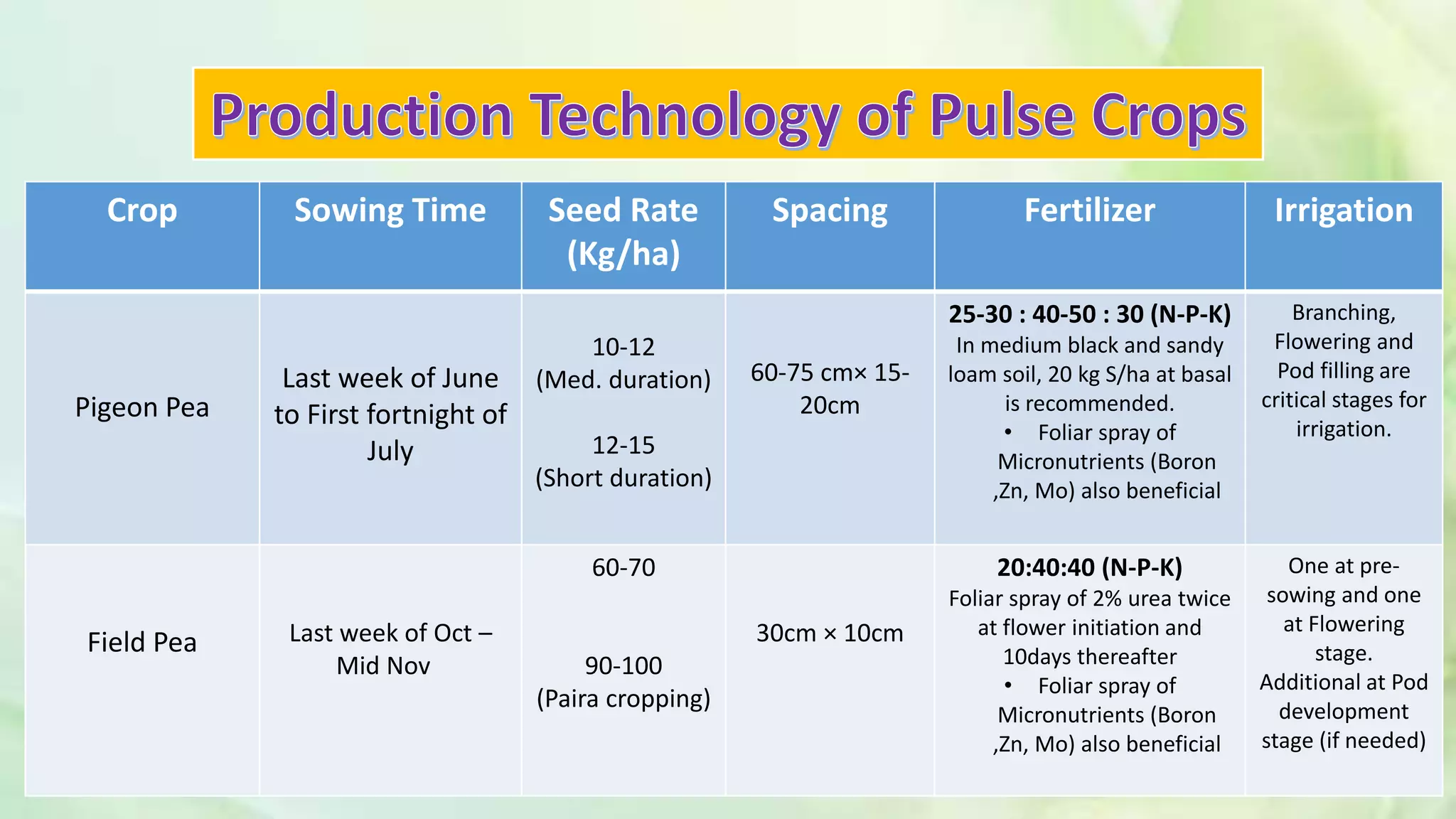 Crop Sowing Time Seed Rate
(Kg/ha)
Spacing Fertilizer Irrigation
Pigeon Pea
Last week of June
to First fortnight of
July
10-12
(Med. duration)
12-15
(Short duration)
60-75 cm× 15-
20cm
25-30 : 40-50 : 30 (N-P-K)
In medium black and sandy
loam soil, 20 kg S/ha at basal
is recommended.
• Foliar spray of
Micronutrients (Boron
,Zn, Mo) also beneficial
Branching,
Flowering and
Pod filling are
critical stages for
irrigation.
Field Pea Last week of Oct –
Mid Nov
60-70
90-100
(Paira cropping)
30cm × 10cm
20:40:40 (N-P-K)
Foliar spray of 2% urea twice
at flower initiation and
10days thereafter
• Foliar spray of
Micronutrients (Boron
,Zn, Mo) also beneficial
One at pre-
sowing and one
at Flowering
stage.
Additional at Pod
development
stage (if needed)
 