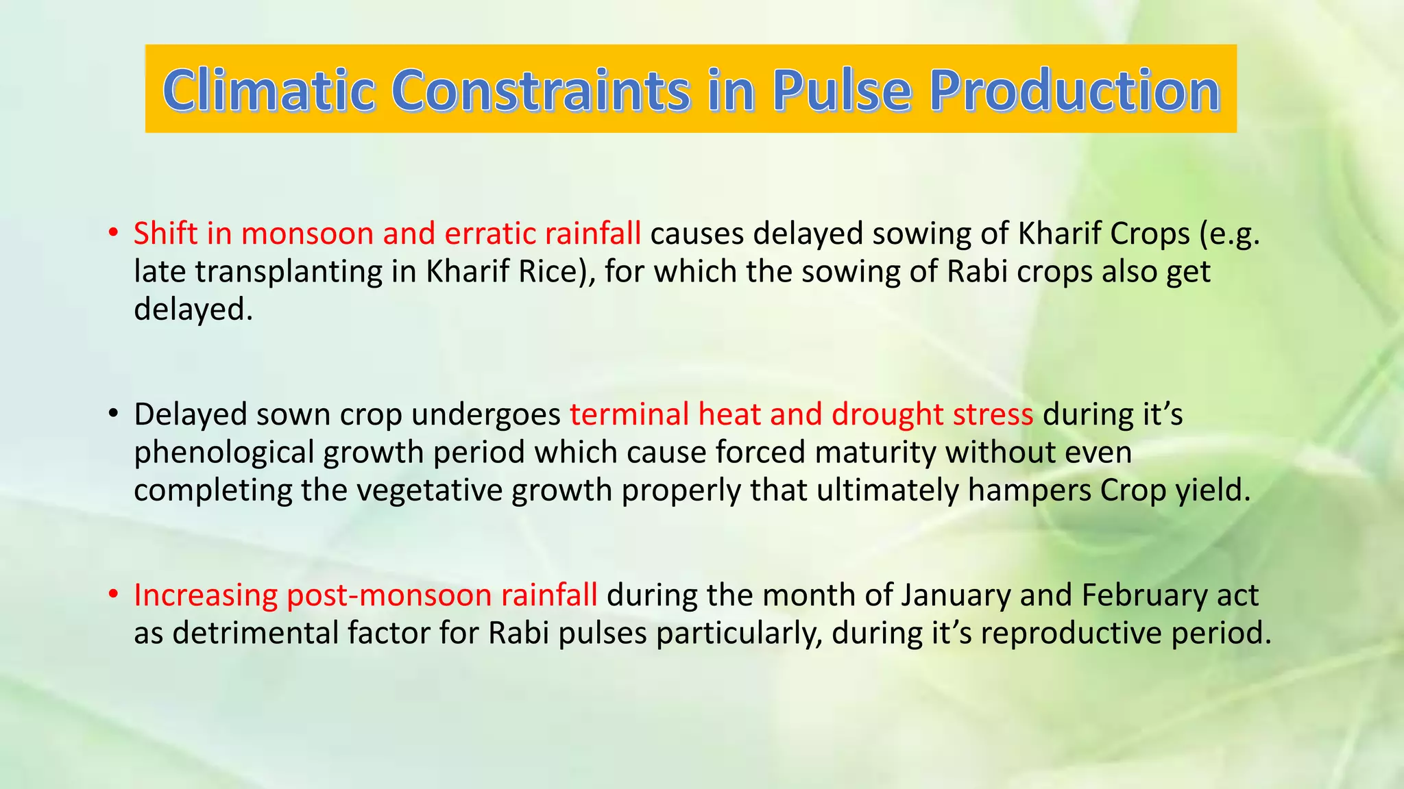 • Shift in monsoon and erratic rainfall causes delayed sowing of Kharif Crops (e.g.
late transplanting in Kharif Rice), for which the sowing of Rabi crops also get
delayed.
• Delayed sown crop undergoes terminal heat and drought stress during it’s
phenological growth period which cause forced maturity without even
completing the vegetative growth properly that ultimately hampers Crop yield.
• Increasing post-monsoon rainfall during the month of January and February act
as detrimental factor for Rabi pulses particularly, during it’s reproductive period.
 
