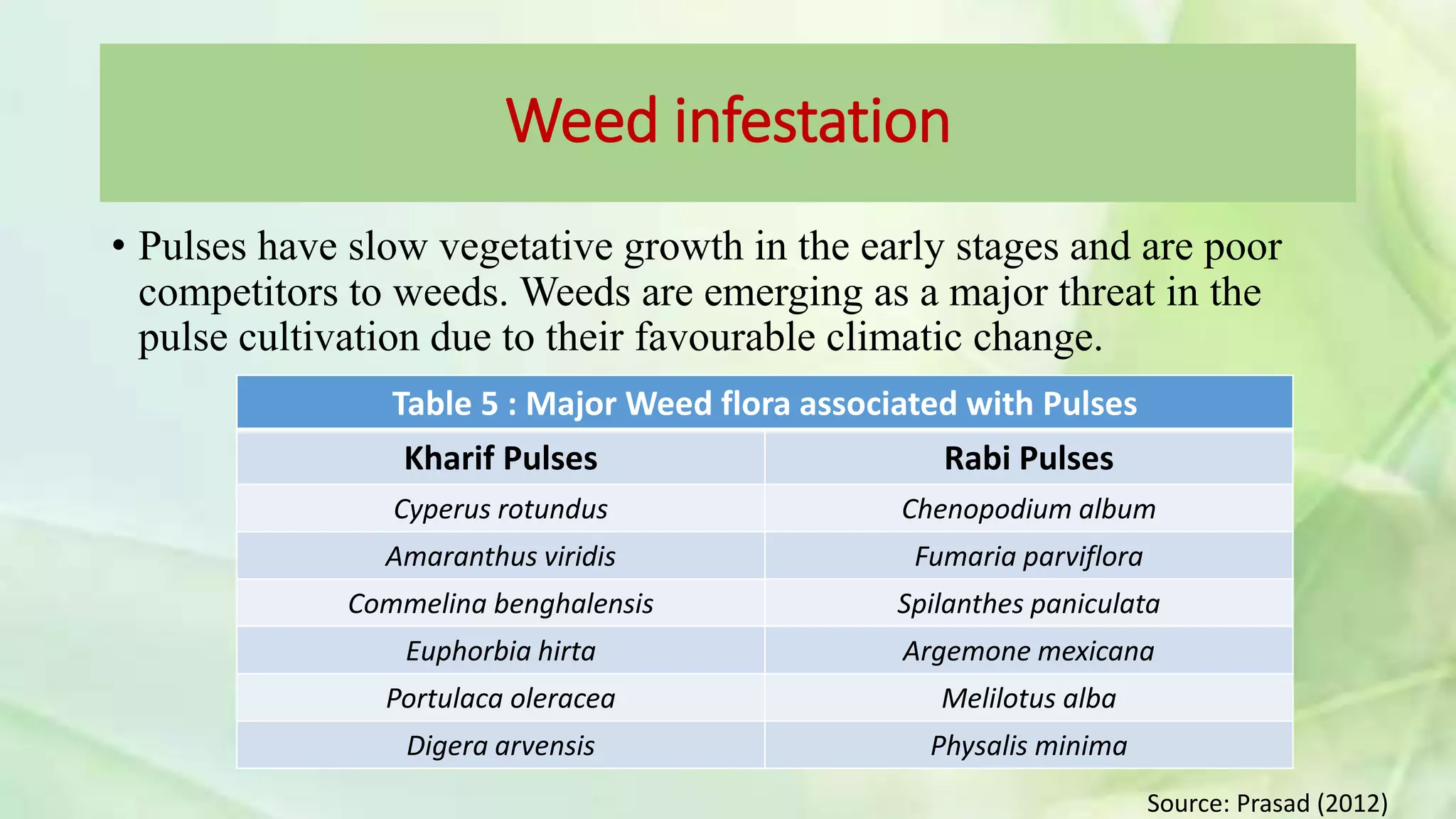 Weed infestation
• Pulses have slow vegetative growth in the early stages and are poor
competitors to weeds. Weeds are emerging as a major threat in the
pulse cultivation due to their favourable climatic change.
Table 5 : Major Weed flora associated with Pulses
Kharif Pulses Rabi Pulses
Cyperus rotundus Chenopodium album
Amaranthus viridis Fumaria parviflora
Commelina benghalensis Spilanthes paniculata
Euphorbia hirta Argemone mexicana
Portulaca oleracea Melilotus alba
Digera arvensis Physalis minima
Source: Prasad (2012)
 