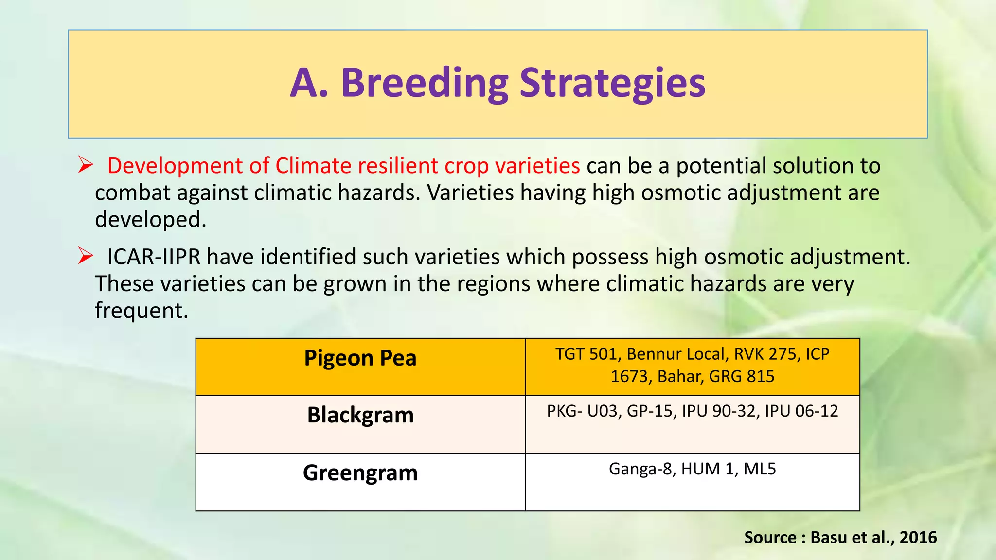 A. Breeding Strategies
 Development of Climate resilient crop varieties can be a potential solution to
combat against climatic hazards. Varieties having high osmotic adjustment are
developed.
 ICAR-IIPR have identified such varieties which possess high osmotic adjustment.
These varieties can be grown in the regions where climatic hazards are very
frequent.
Pigeon Pea TGT 501, Bennur Local, RVK 275, ICP
1673, Bahar, GRG 815
Blackgram PKG- U03, GP-15, IPU 90-32, IPU 06-12
Greengram Ganga-8, HUM 1, ML5
Source : Basu et al., 2016
 