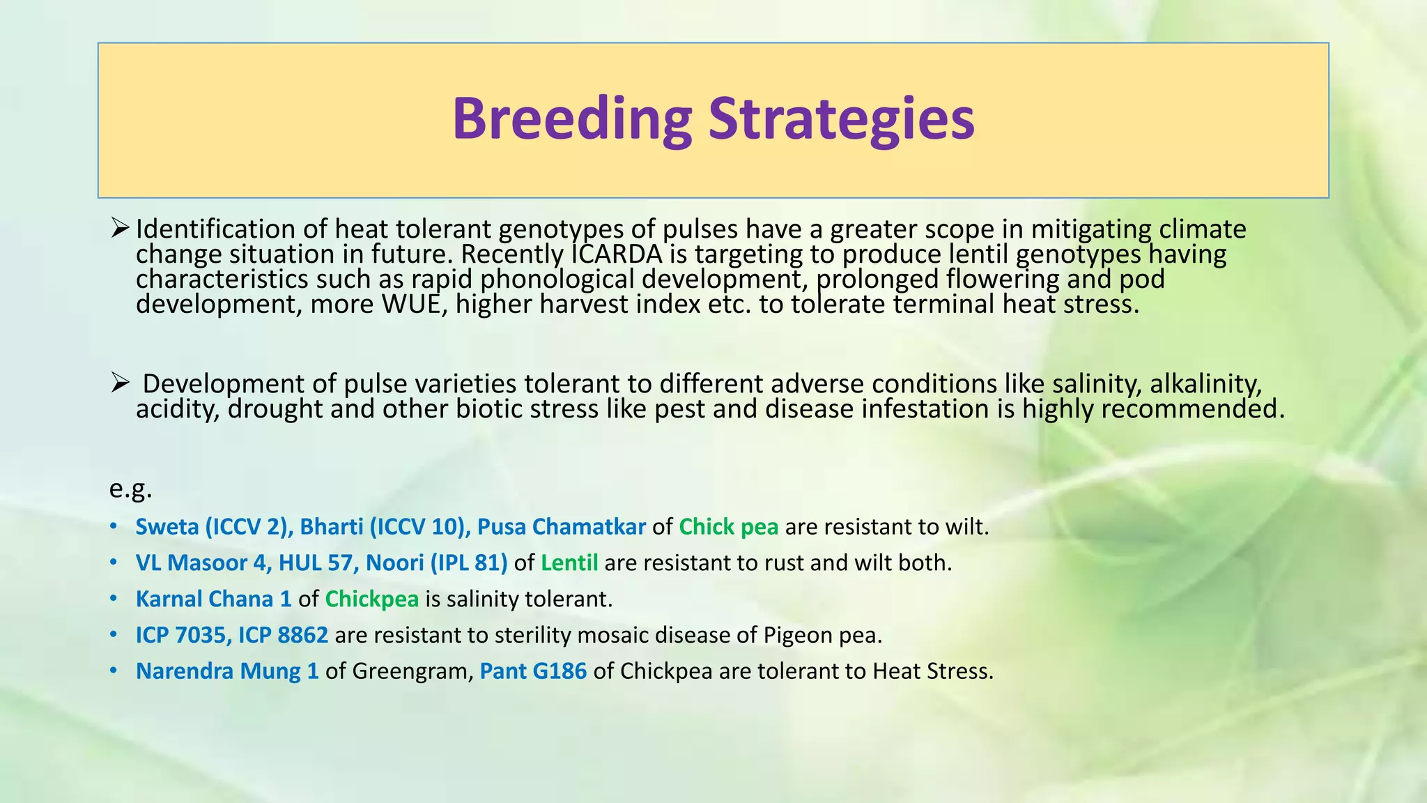 Breeding Strategies
Identification of heat tolerant genotypes of pulses have a greater scope in mitigating climate
change situation in future. Recently ICARDA is targeting to produce lentil genotypes having
characteristics such as rapid phonological development, prolonged flowering and pod
development, more WUE, higher harvest index etc. to tolerate terminal heat stress.
 Development of pulse varieties tolerant to different adverse conditions like salinity, alkalinity,
acidity, drought and other biotic stress like pest and disease infestation is highly recommended.
e.g.
• Sweta (ICCV 2), Bharti (ICCV 10), Pusa Chamatkar of Chick pea are resistant to wilt.
• VL Masoor 4, HUL 57, Noori (IPL 81) of Lentil are resistant to rust and wilt both.
• Karnal Chana 1 of Chickpea is salinity tolerant.
• ICP 7035, ICP 8862 are resistant to sterility mosaic disease of Pigeon pea.
• Narendra Mung 1 of Greengram, Pant G186 of Chickpea are tolerant to Heat Stress.
 