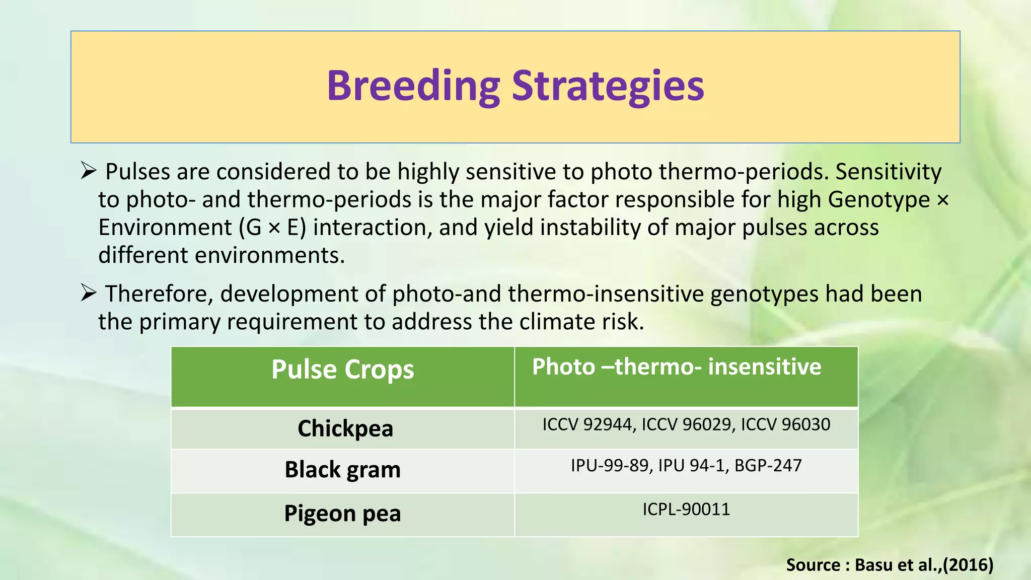 Breeding Strategies
 Pulses are considered to be highly sensitive to photo thermo-periods. Sensitivity
to photo- and thermo-periods is the major factor responsible for high Genotype ×
Environment (G × E) interaction, and yield instability of major pulses across
different environments.
 Therefore, development of photo-and thermo-insensitive genotypes had been
the primary requirement to address the climate risk.
Pulse Crops Photo –thermo- insensitive
Chickpea ICCV 92944, ICCV 96029, ICCV 96030
Black gram IPU-99-89, IPU 94-1, BGP-247
Pigeon pea ICPL-90011
Source : Basu et al.,(2016)
 