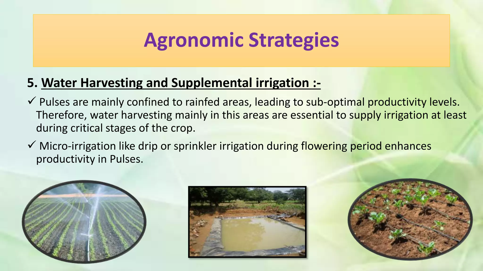 Agronomic Strategies
5. Water Harvesting and Supplemental irrigation :-
 Pulses are mainly confined to rainfed areas, leading to sub-optimal productivity levels.
Therefore, water harvesting mainly in this areas are essential to supply irrigation at least
during critical stages of the crop.
 Micro-irrigation like drip or sprinkler irrigation during flowering period enhances
productivity in Pulses.
 