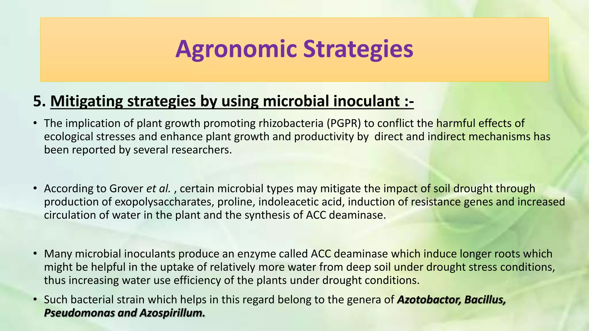 Agronomic Strategies
5. Mitigating strategies by using microbial inoculant :-
• The implication of plant growth promoting rhizobacteria (PGPR) to conflict the harmful effects of
ecological stresses and enhance plant growth and productivity by direct and indirect mechanisms has
been reported by several researchers.
• According to Grover et al. , certain microbial types may mitigate the impact of soil drought through
production of exopolysaccharates, proline, indoleacetic acid, induction of resistance genes and increased
circulation of water in the plant and the synthesis of ACC deaminase.
• Many microbial inoculants produce an enzyme called ACC deaminase which induce longer roots which
might be helpful in the uptake of relatively more water from deep soil under drought stress conditions,
thus increasing water use efficiency of the plants under drought conditions.
• Such bacterial strain which helps in this regard belong to the genera of Azotobactor, Bacillus,
Pseudomonas and Azospirillum.
 