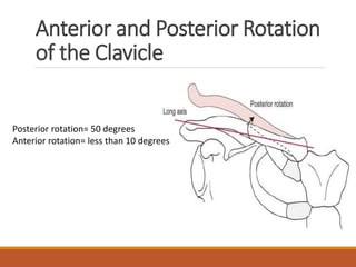 Anterior and Posterior Rotation
of the Clavicle
Posterior rotation= 50 degrees
Anterior rotation= less than 10 degrees
 