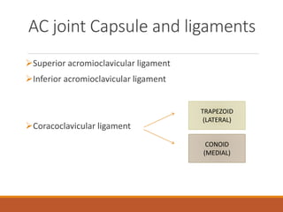 AC joint Capsule and ligaments
Superior acromioclavicular ligament
Inferior acromioclavicular ligament
Coracoclavicular ligament
TRAPEZOID
(LATERAL)
CONOID
(MEDIAL)
 