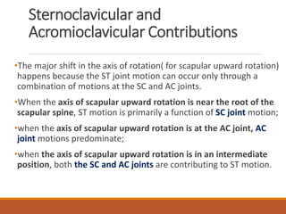 Upward Scapular Rotation biomechanics of shoulder | PPTX