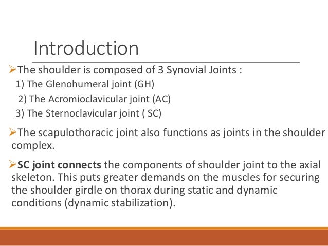 biomechanics of shoulder joint pdf