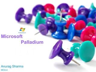 Anurag Sharma
MCA-4
Microsoft
Palladium
 