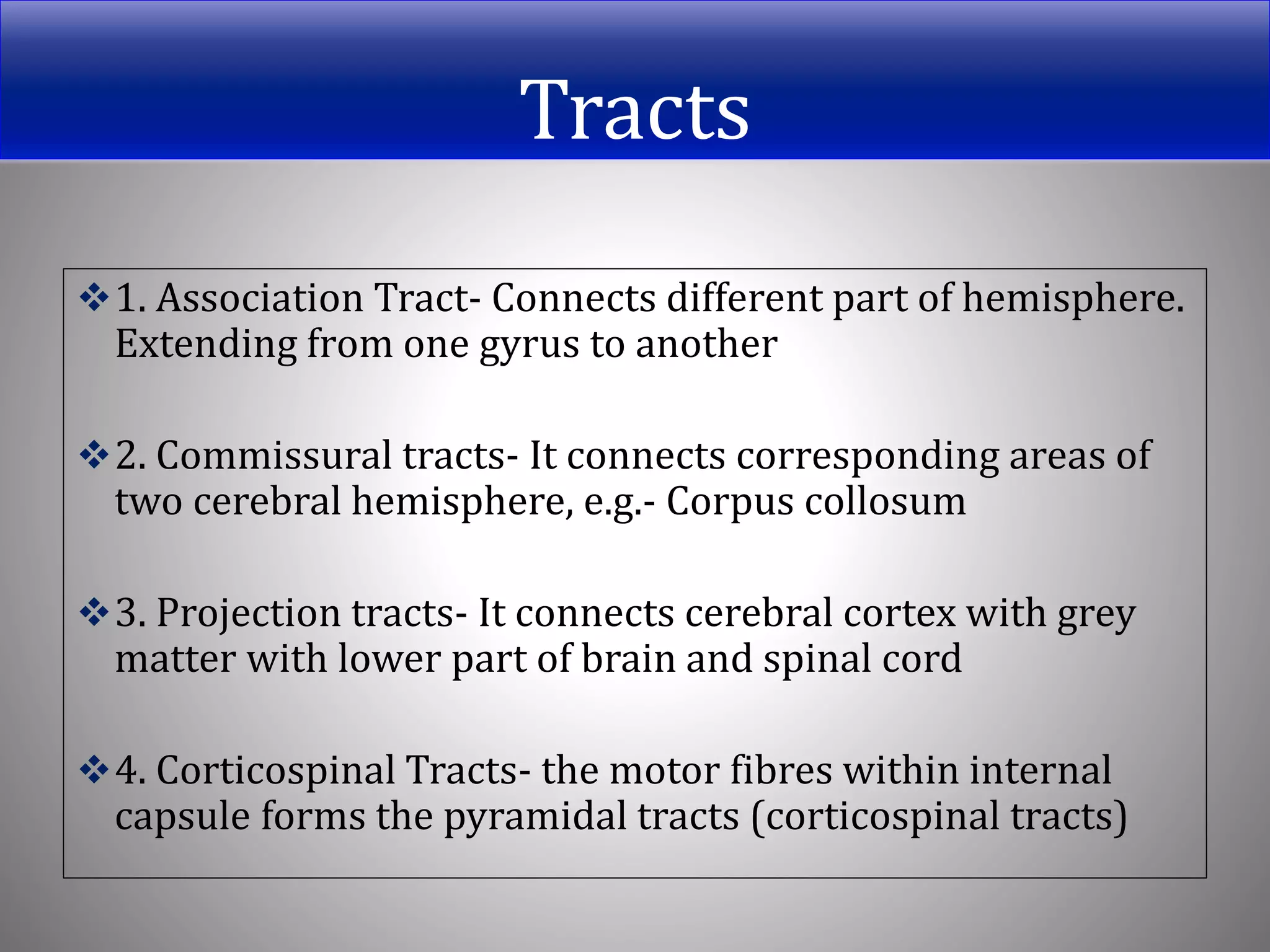 Tracts
1. Association Tract- Connects different part of hemisphere.
Extending from one gyrus to another
2. Commissural tracts- It connects corresponding areas of
two cerebral hemisphere, e.g.- Corpus collosum
3. Projection tracts- It connects cerebral cortex with grey
matter with lower part of brain and spinal cord
4. Corticospinal Tracts- the motor fibres within internal
capsule forms the pyramidal tracts (corticospinal tracts)
 