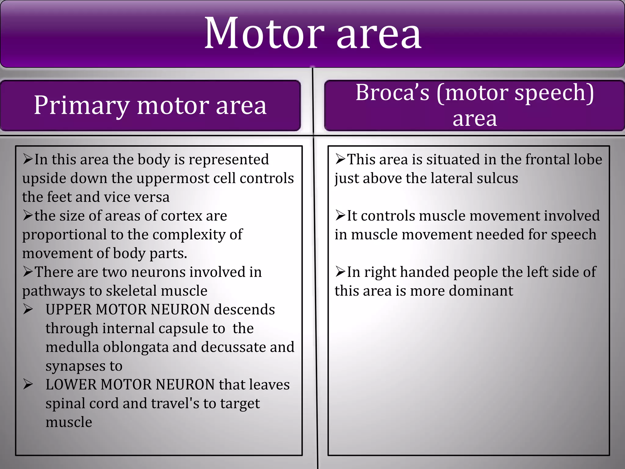Motor area
Primary motor area Broca’s (motor speech)
area
In this area the body is represented
upside down the uppermost cell controls
the feet and vice versa
the size of areas of cortex are
proportional to the complexity of
movement of body parts.
There are two neurons involved in
pathways to skeletal muscle
 UPPER MOTOR NEURON descends
through internal capsule to the
medulla oblongata and decussate and
synapses to
 LOWER MOTOR NEURON that leaves
spinal cord and travel's to target
muscle
This area is situated in the frontal lobe
just above the lateral sulcus
It controls muscle movement involved
in muscle movement needed for speech
In right handed people the left side of
this area is more dominant
 