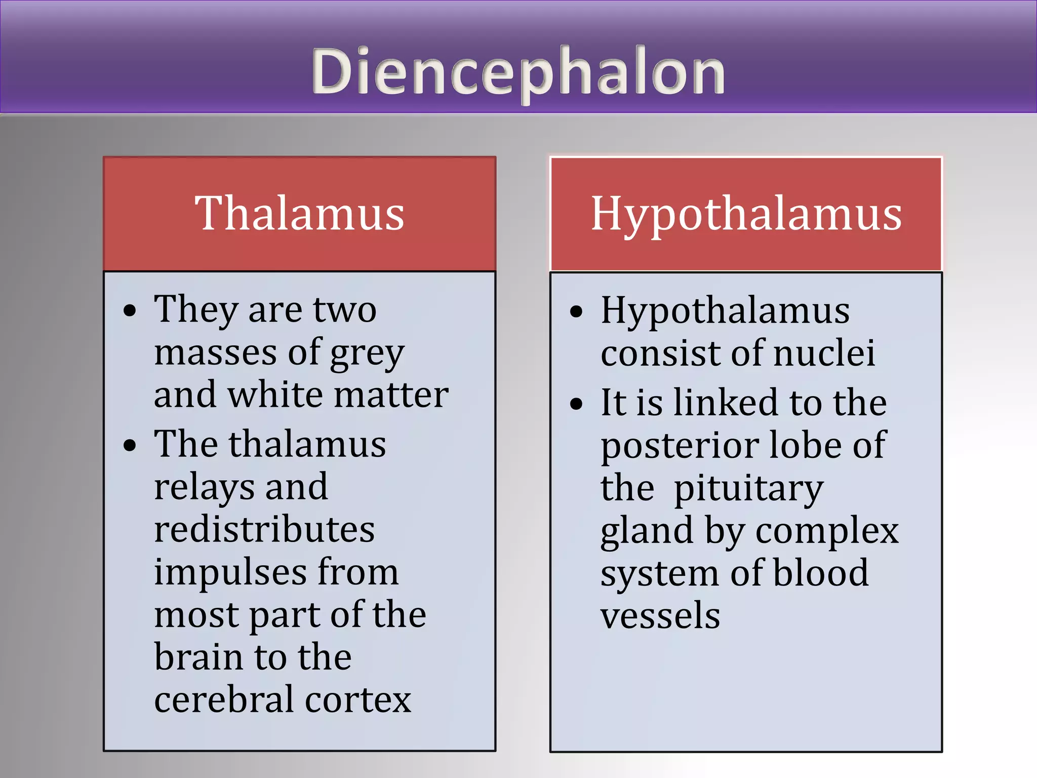 Thalamus
• They are two
masses of grey
and white matter
• The thalamus
relays and
redistributes
impulses from
most part of the
brain to the
cerebral cortex
Hypothalamus
• Hypothalamus
consist of nuclei
• It is linked to the
posterior lobe of
the pituitary
gland by complex
system of blood
vessels
Diencephalon
 