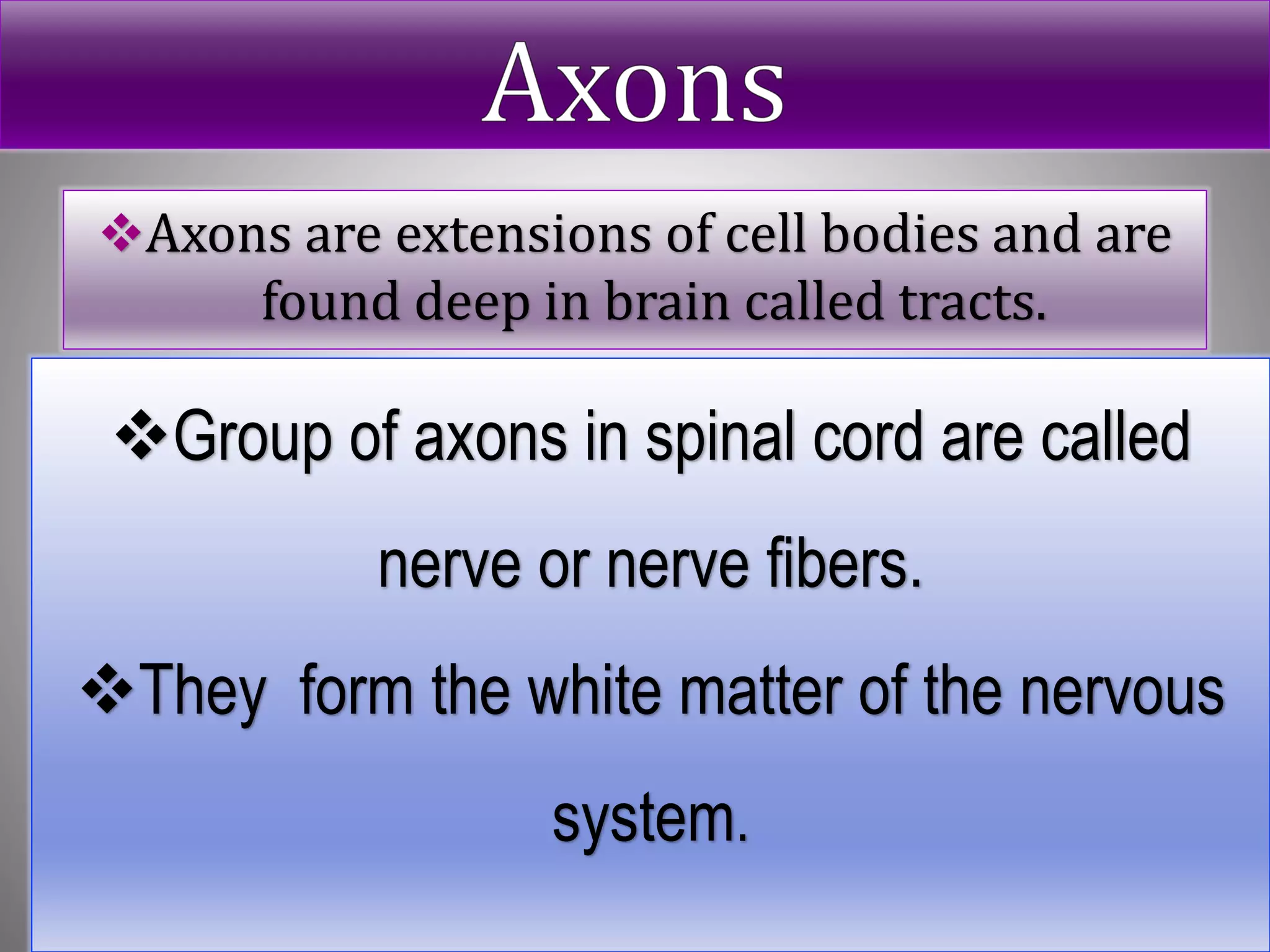 Axons are extensions of cell bodies and are
found deep in brain called tracts.
Group of axons in spinal cord are called
nerve or nerve fibers.
They form the white matter of the nervous
system.
 