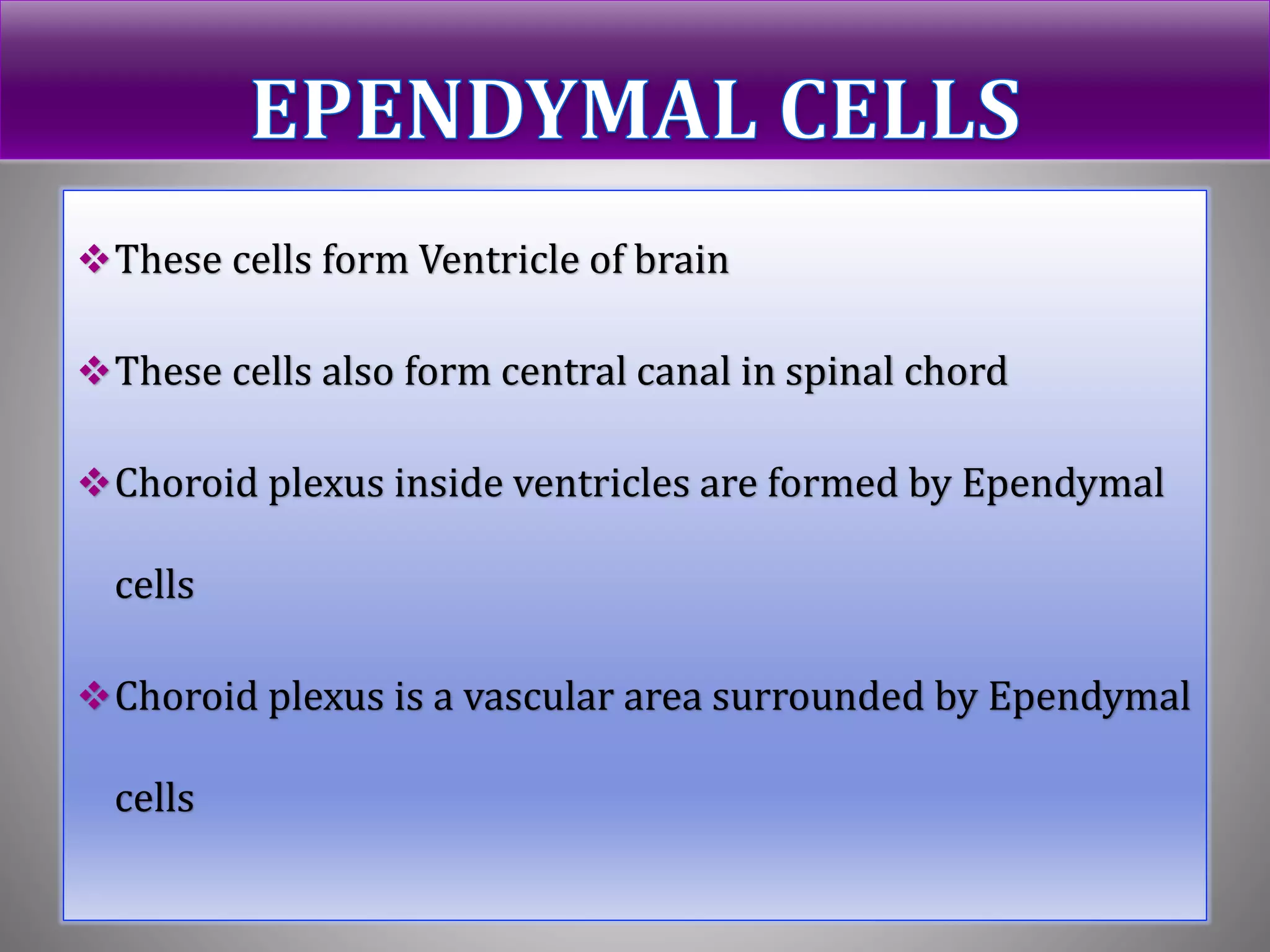These cells form Ventricle of brain
These cells also form central canal in spinal chord
Choroid plexus inside ventricles are formed by Ependymal
cells
Choroid plexus is a vascular area surrounded by Ependymal
cells
 