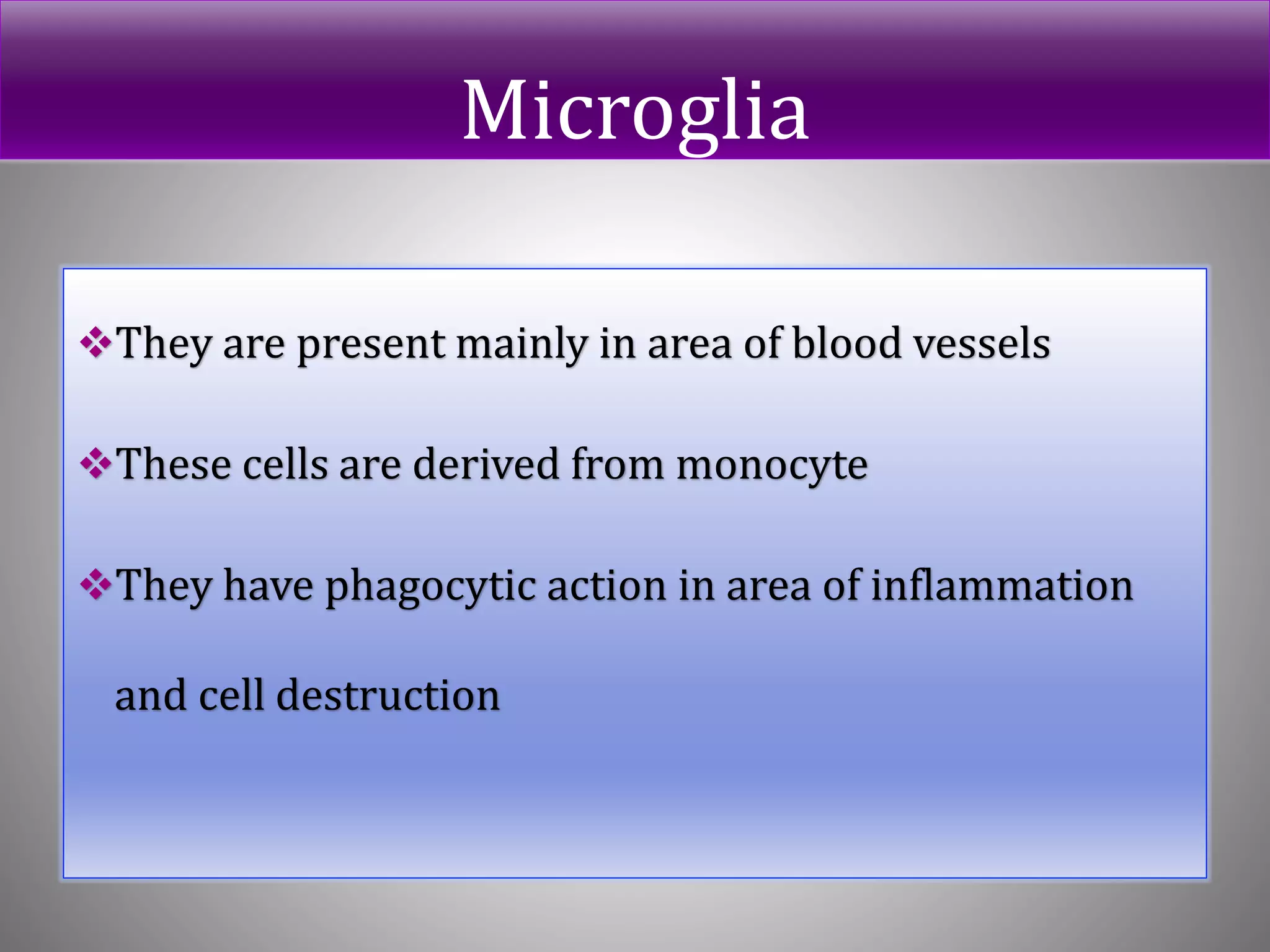 Microglia
They are present mainly in area of blood vessels
These cells are derived from monocyte
They have phagocytic action in area of inflammation
and cell destruction
 