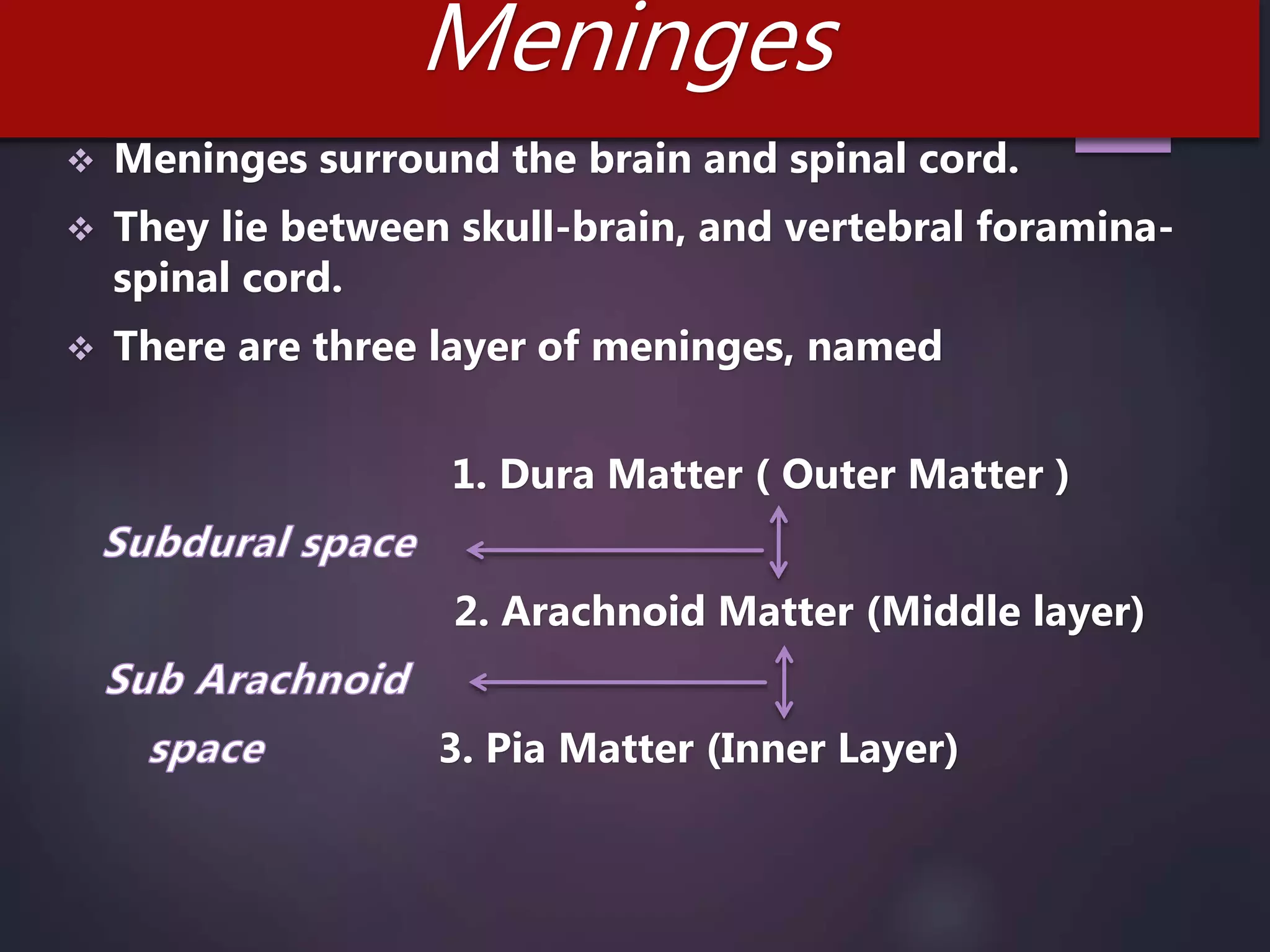 Meninges
 Meninges surround the brain and spinal cord.
 They lie between skull-brain, and vertebral foramina-
spinal cord.
 There are three layer of meninges, named
1. Dura Matter ( Outer Matter )
2. Arachnoid Matter (Middle layer)
3. Pia Matter (Inner Layer)
 
