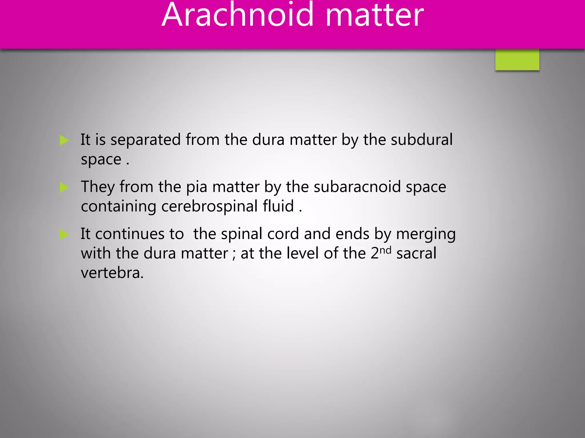 Arachnoid matter
 It is separated from the dura matter by the subdural
space .
 They from the pia matter by the subaracnoid space
containing cerebrospinal fluid .
 It continues to the spinal cord and ends by merging
with the dura matter ; at the level of the 2nd sacral
vertebra.
 