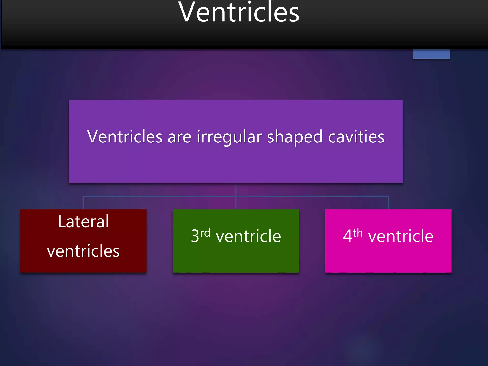 Ventricles
Ventricles are irregular shaped cavities
Lateral
ventricles
3rd ventricle 4th ventricle
 