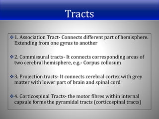 Tracts
1. Association Tract- Connects different part of hemisphere.
Extending from one gyrus to another
2. Commissural tracts- It connects corresponding areas of
two cerebral hemisphere, e.g.- Corpus collosum
3. Projection tracts- It connects cerebral cortex with grey
matter with lower part of brain and spinal cord
4. Corticospinal Tracts- the motor fibres within internal
capsule forms the pyramidal tracts (corticospinal tracts)
 