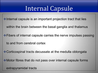 Internal Capsule
Internal capsule is an important projection tract that lies
within the brain between the basal ganglia and thalamus
Fibers of internal capsule carries the nerve impulses passing
to and from cerebral cortex
Corticospinal tracts decussate at the medulla oblongata
Motor fibres that do not pass over internal capsule forms
extrapyramidal tracts
 